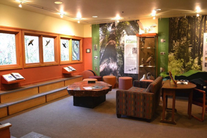 Sitting area, viewing windows and displays